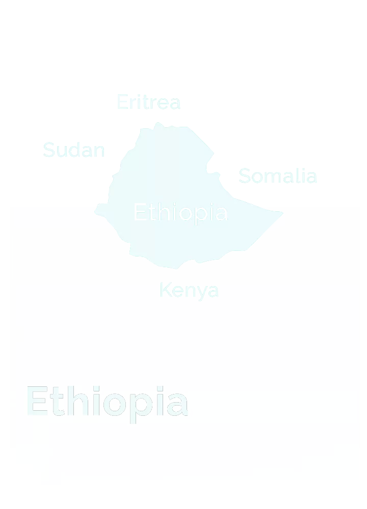 Ethiopia Bean Friends Forever BeanFF