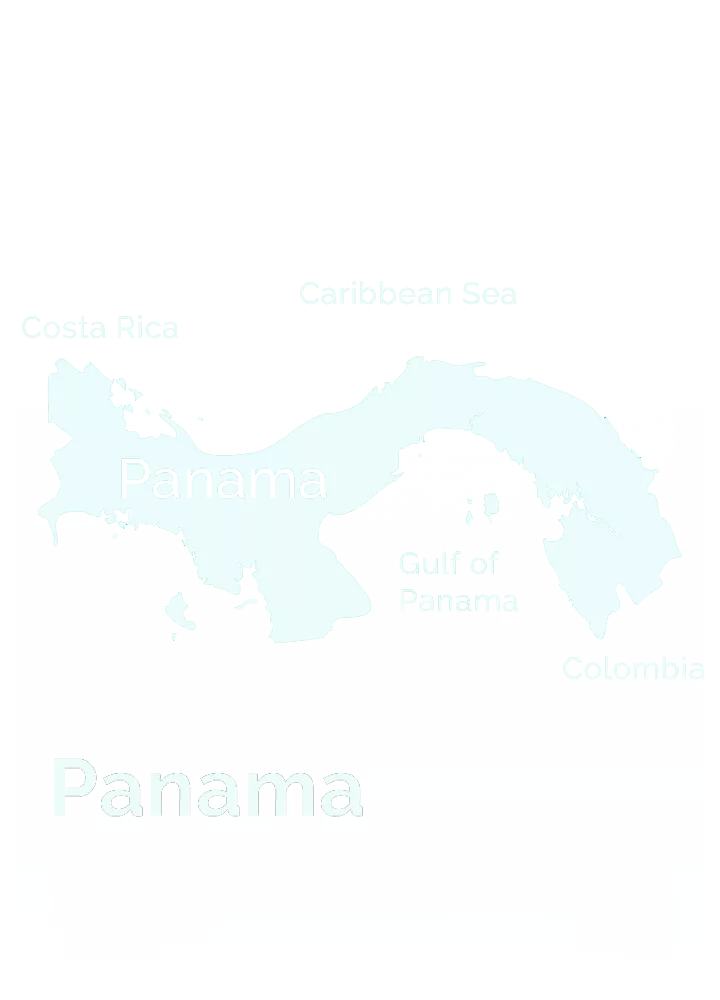 Panama Bean Friends Forever BeanFF